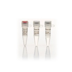 EL0011 T4 ДНК-лигаза, 5 е.а/мкл; 1000 е.а. Thermo Fisher Scientific