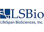 LS-C139407 Антитела Recoverin Antibody (clone 3F6), 100 мкг