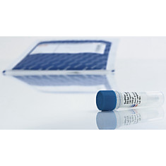 239135 Маркеры длины фрагментов ДНК GelPilot Ladder