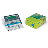 4568121 Готовые безокрасочные гели Mini-Protean TGX Stain-Free, Any kD, для IPG, 10 шт/уп