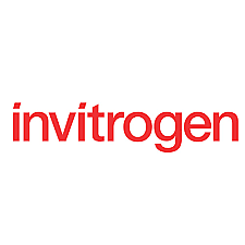 62249 Краситель Hoechst 33342 Solution, 5 мл, Invitrogen