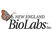 New England Biolabs (реактивы)