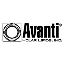 Avanti