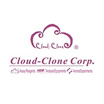 Cloud-clone