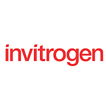 Invitrogen (реактивы)