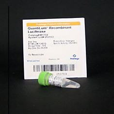 E1701 QuantiLum(R) Recombinant Luciferase, 1mg, Promega