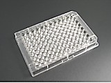 178599 Плашки 96 лунок CS CHAMBR SLIDE,16WELL GLASS Case of 96