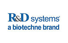 DY261 Набор Human Betacellulin DuoSet ELISA