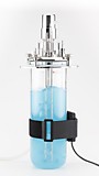 1313F Крепежный ремень 100 см, Aquila Biolabs