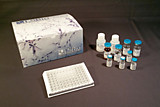 LS-F11803-1 Набор Rat IL5 ELISA Kit (Sandwich ELISA) - LS-F11803  