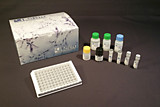 LS-F2744-1 Набор Rat IL13 ELISA Kit (Sandwich ELISA) - LS-F2744