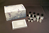 LS-F5050-1 Набор Rat IL7 ELISA Kit (Sandwich ELISA) - LS-F5050