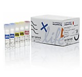 4468802 Набор Ion Library Quantification Kit (250 Rxns), Applied Biosystems