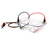 1704485 Электрофорезная горизонтальна камера Wide Mini-Sub Cell GT, 15х7 см, 15 и 20 лунок, Bio-Rad
